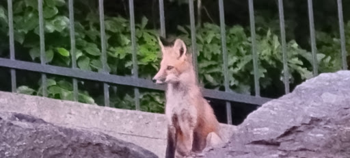 Amusement Park Ride «SkyView Atlanta», reviews and photos, 168 Luckie St NW, Atlanta, GA 30303, USA