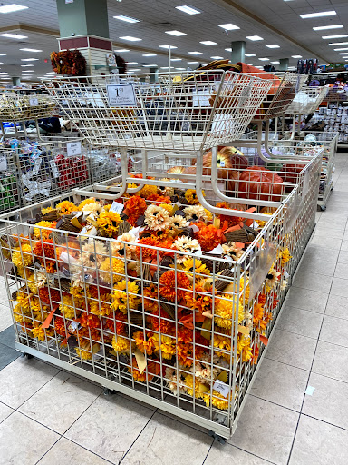 Home Goods Store «Christmas Tree Shops», reviews and photos, 2700 Veterans Rd W, Staten Island, NY 10309, USA