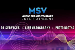 MSV Entertainment image