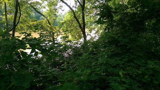 Tourist Attraction «Wabash Frisco & Pacific Railway», reviews and photos, 101 Grand Ave, Glencoe, MO 63038, USA