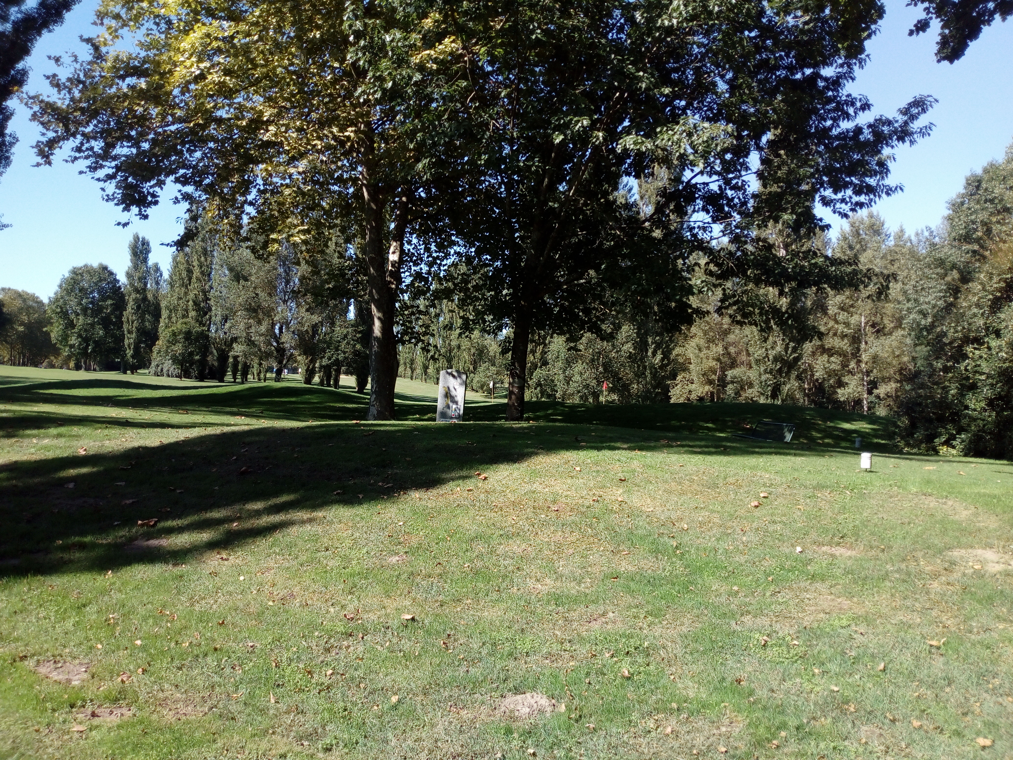 Photo n° 15 de l'avis de Delbart.e fait le 29/09/2019 à 12:17