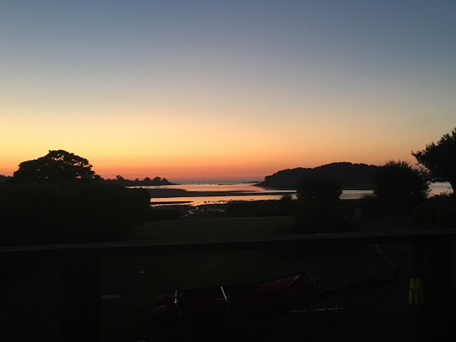 Opinii despre Trans Animal Compagnie. Thierry Perrio Ethocomportementaliste în Brest - Dresseur pour chiens