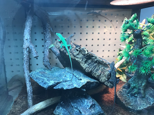 Pet Store «Oceans Of Pets», reviews and photos, 1794 Diamond Hill Road, Woonsocket, RI 02895, USA