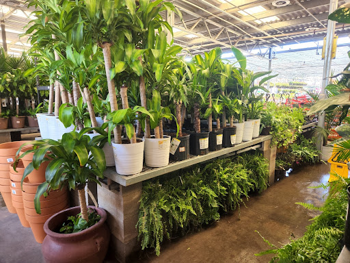 Home Improvement Store «The Home Depot», reviews and photos, 1303 Rivery Blvd, Georgetown, TX 78626, USA