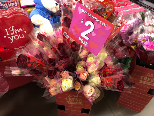 Home Goods Store «Dollar General», reviews and photos, 3510 Marietta Ave, Lancaster, PA 17601, USA