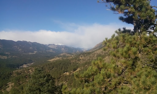 Photo of A&B Knight Roofing and Construction LLC