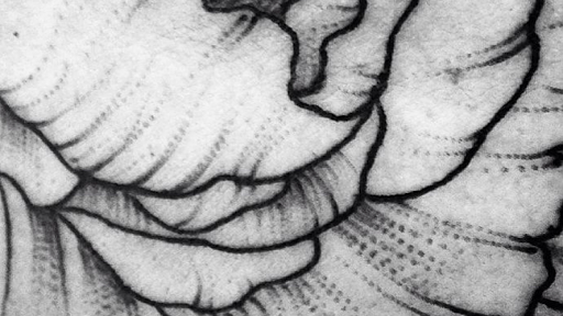 Tattoo Shop «Perigee Moon Body Art», reviews and photos, 301 Broadway, West Cape May, NJ 08204, USA