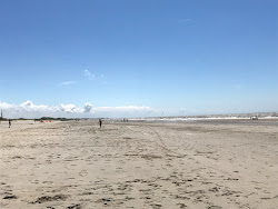 Camperduin Beach'in fotoğrafı - rahatlamayı sevenler arasında popüler bir yer
