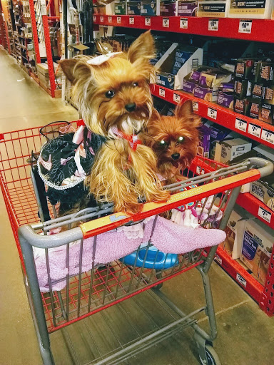 Home Improvement Store «The Home Depot», reviews and photos, 18855 I-635, Mesquite, TX 75150, USA