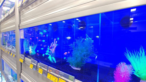 Pet Supply Store «PetSmart», reviews and photos, 7290 W Bell Rd, Glendale, AZ 85308, USA