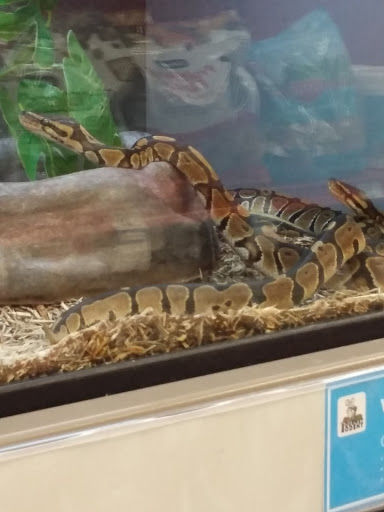 Pet Supply Store «Petco Animal Supplies», reviews and photos, 1207 S Caraway Rd, Jonesboro, AR 72401, USA