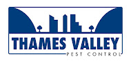 Thames Valley Pest Control