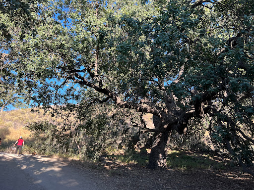 Off roading area Thousand Oaks