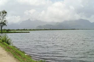 Pimpalgaon Joga Dam image