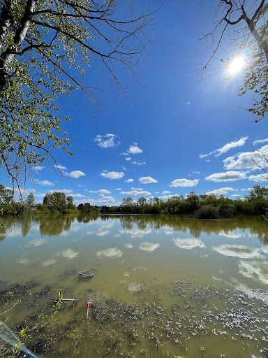 Park «Tukwila Pond Park», reviews and photos, 299 Strander Blvd, Tukwila, WA 98188, USA