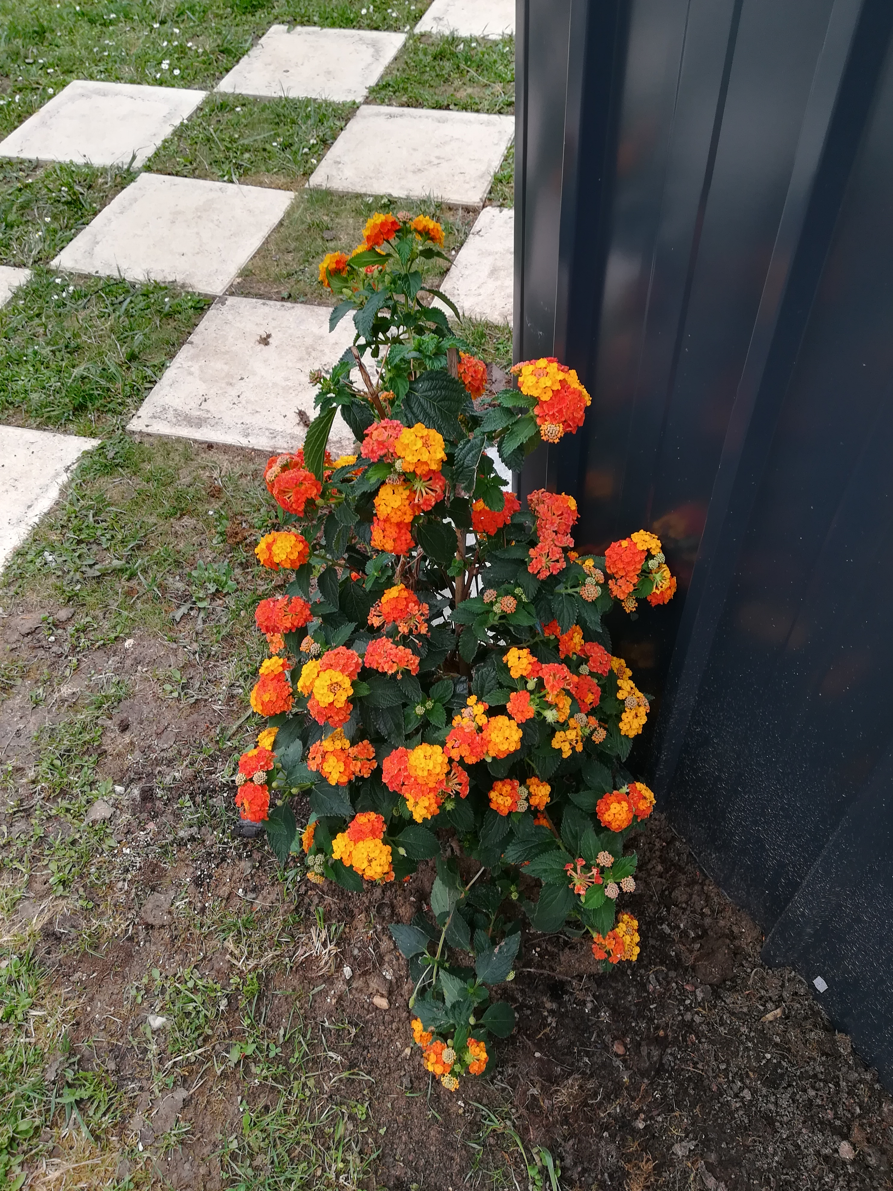 Photo n° 2 de l'avis de Isabelle.e fait le 28/05/2018 à 15:14