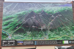 용봉산 자연휴양림 image
