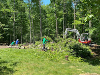 Rivera Tree & Landscaping Services - Photo 3 - Car repair in , Danbury