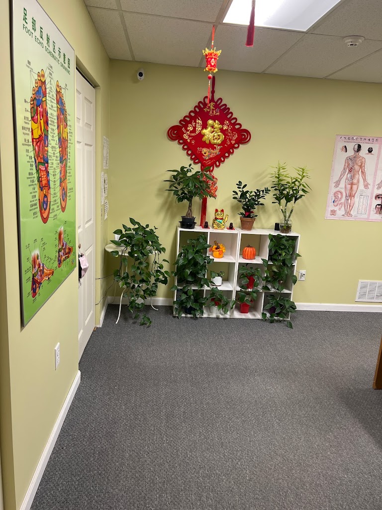Chinese Massage Therapy 16002