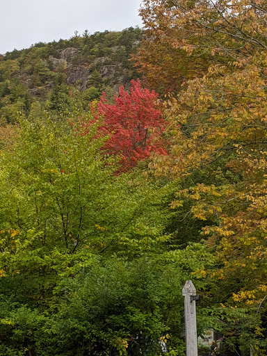 Sightseeing Tour Agency «Acadia National Park Tours», reviews and photos, 53 Main St, Bar Harbor, ME 04609, USA