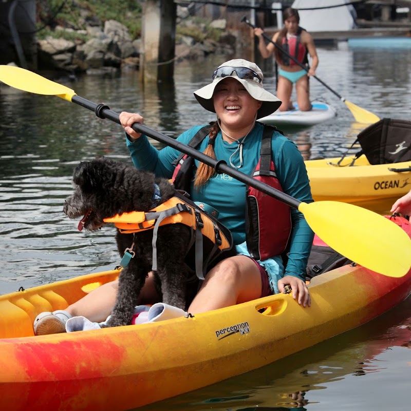 Aqua Adventures Mission Bay Kayaks & Stand Up Paddleboards Rental & Sales