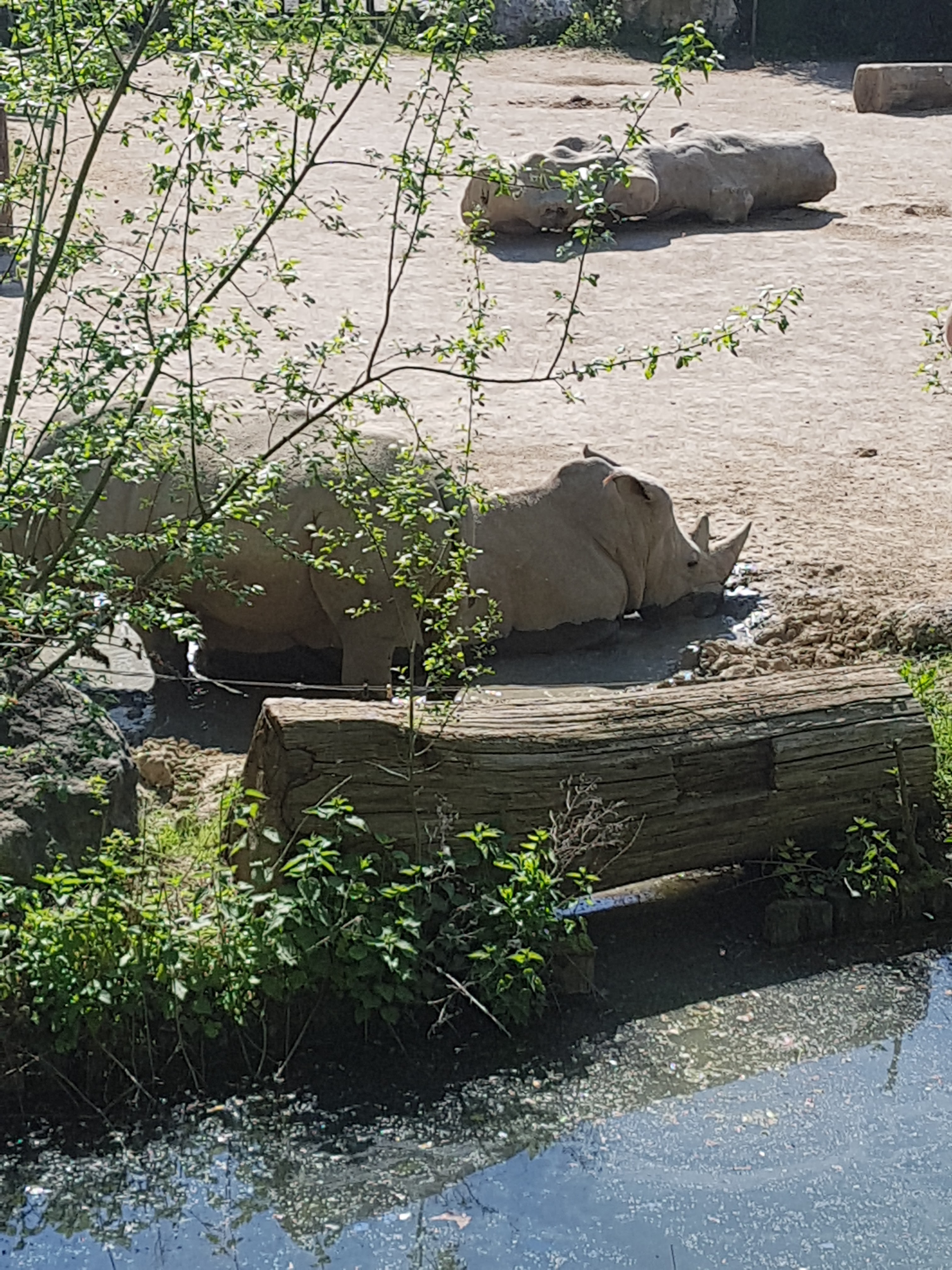 Photo n° 12 de l'avis de Celia.a fait le 30/04/2019 à 08:20