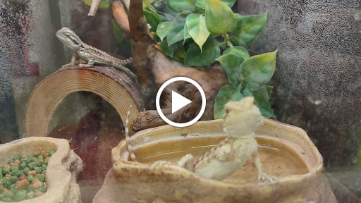 Pet Supply Store «PetSmart», reviews and photos, 1145 W Riverdale Rd, Riverdale, UT 84405, USA