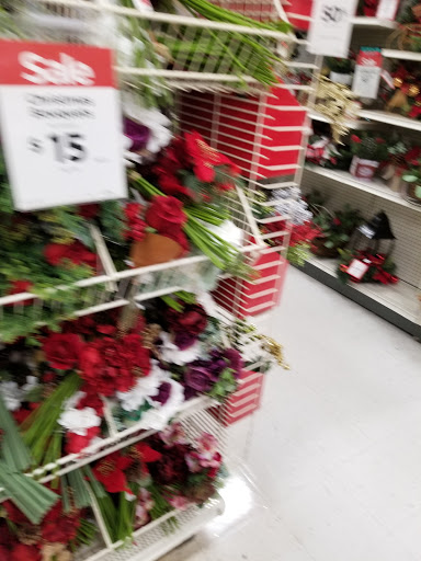 Craft Store «Michaels», reviews and photos, 4255 Pheasant Ridge Dr NE, Blaine, MN 55449, USA