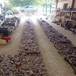 Photo n° 6 de l'avis de alexandre.u fait le 11/08/2023 à 10:12 pour Compagnie Générale de Minéraux Bijouterie à Vezac