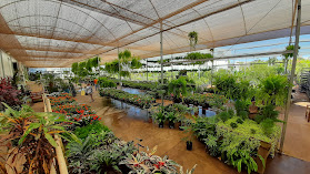 Pantanal Garden Center