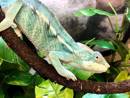 Pet Supply Store «Petco Animal Supplies», reviews and photos, 8800 Tampa Ave, Northridge, CA 91324, USA