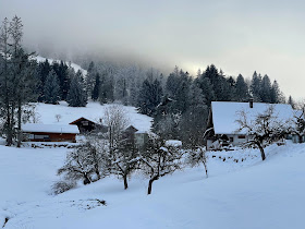 Beobachtungs- und Beringungsstation Subigerberg