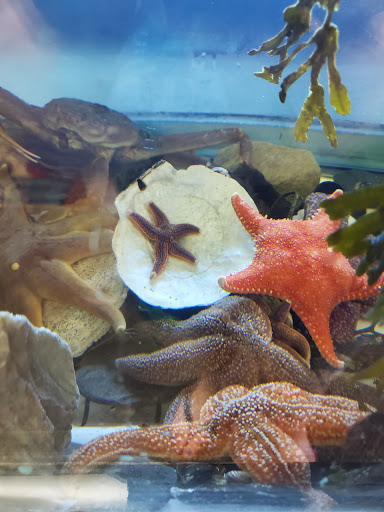 Aquarium «Explore the Ocean World, llc Oceanarium», reviews and photos, 367 Ocean Blvd, Hampton, NH 03842, USA
