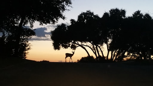 Golf Course «Highland Lakes Golf Course», reviews and photos, 20552 Highland Lake Dr, Lago Vista, TX 78645, USA