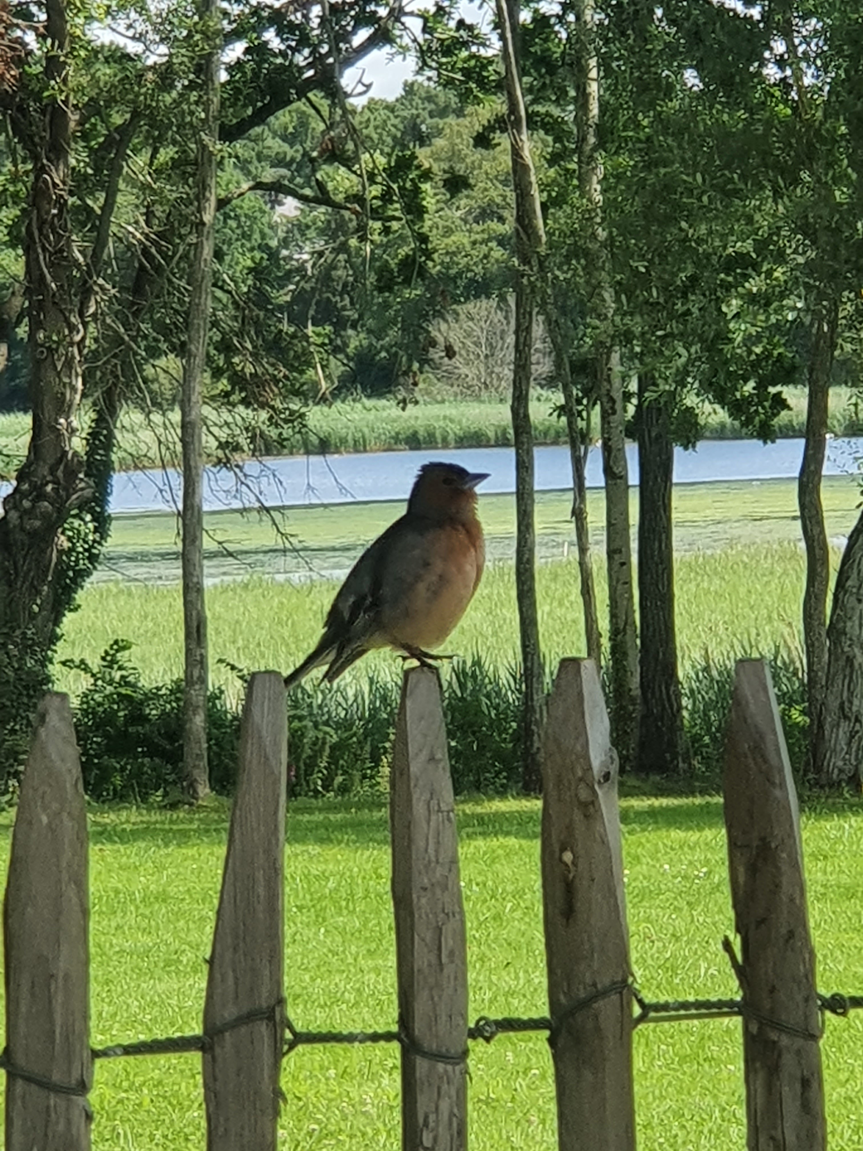Photo n° 4 de l'avis de Mari.o fait le 26/07/2021 à 13:11