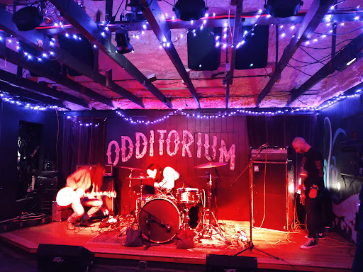 Bar «The Odditorium», reviews and photos, 1045 Haywood Rd, Asheville, NC 28806, USA