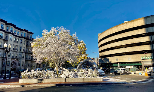 Grocery Store «Whole Foods Market», reviews and photos, 15 Westland Ave, Boston, MA 02115, USA