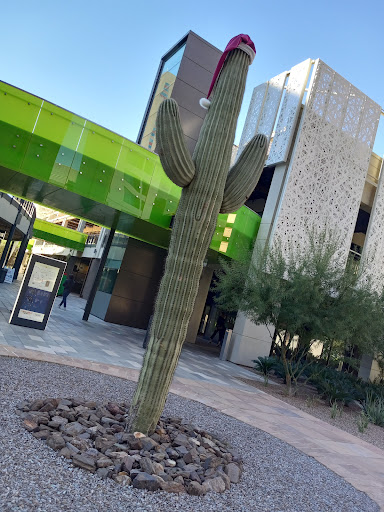 Shopping Mall «Arizona Center», reviews and photos, 400 E Van Buren St, Phoenix, AZ 85004, USA
