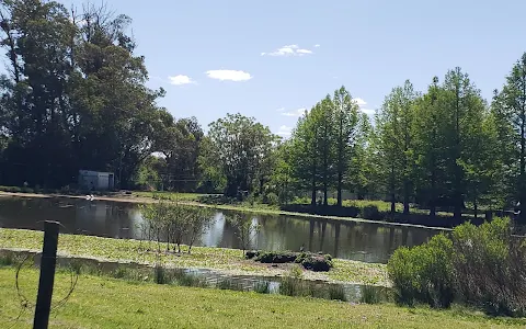 Vivero del Lago image