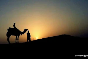 Camel Safari, Panseri image