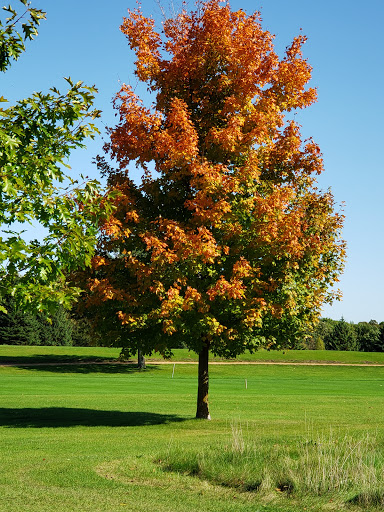 Golf Course «Bluff Creek Golf Course», reviews and photos, 1025 Creekwood Dr, Chaska, MN 55318, USA