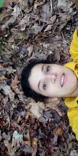 Park «Fairfax Villa Park», reviews and photos, 11399 Park Dr, Fairfax, VA 22030, USA