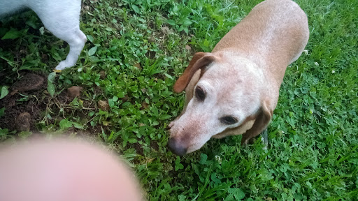 Dr Ed’s All Critter Care