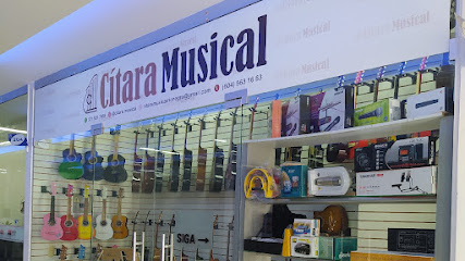 CÍTARA MUSICAL