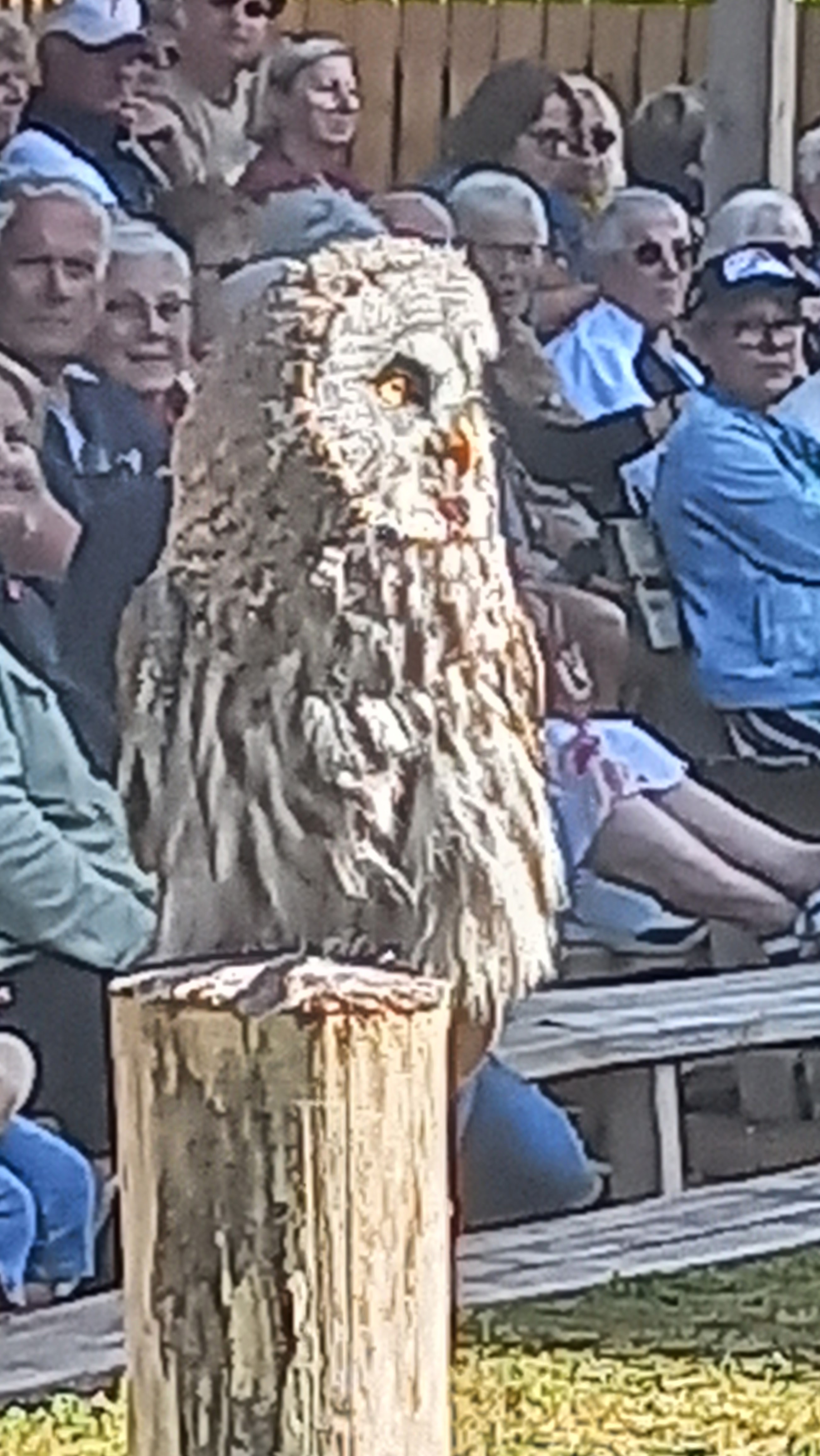 Photo n° 2 de l'avis de Pierre.A fait le 13/10/2023 à 10:55