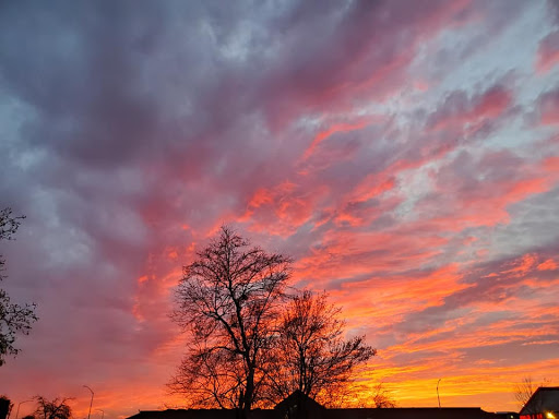 Wine Store «Napa Valley Wine & Cigar», reviews and photos, 161 Silverado Trail, Napa, CA 94559, USA