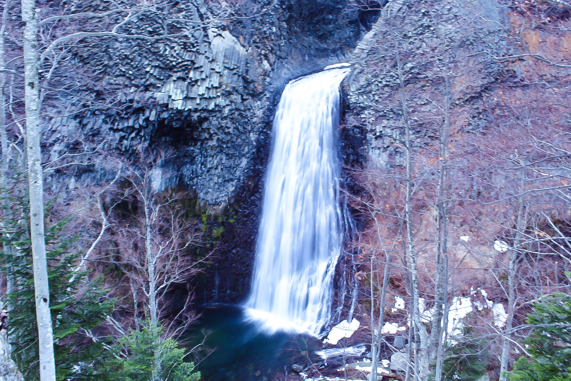 Photo n° 5 de l'avis de Nature.n fait le 15/03/2018 à 06:55