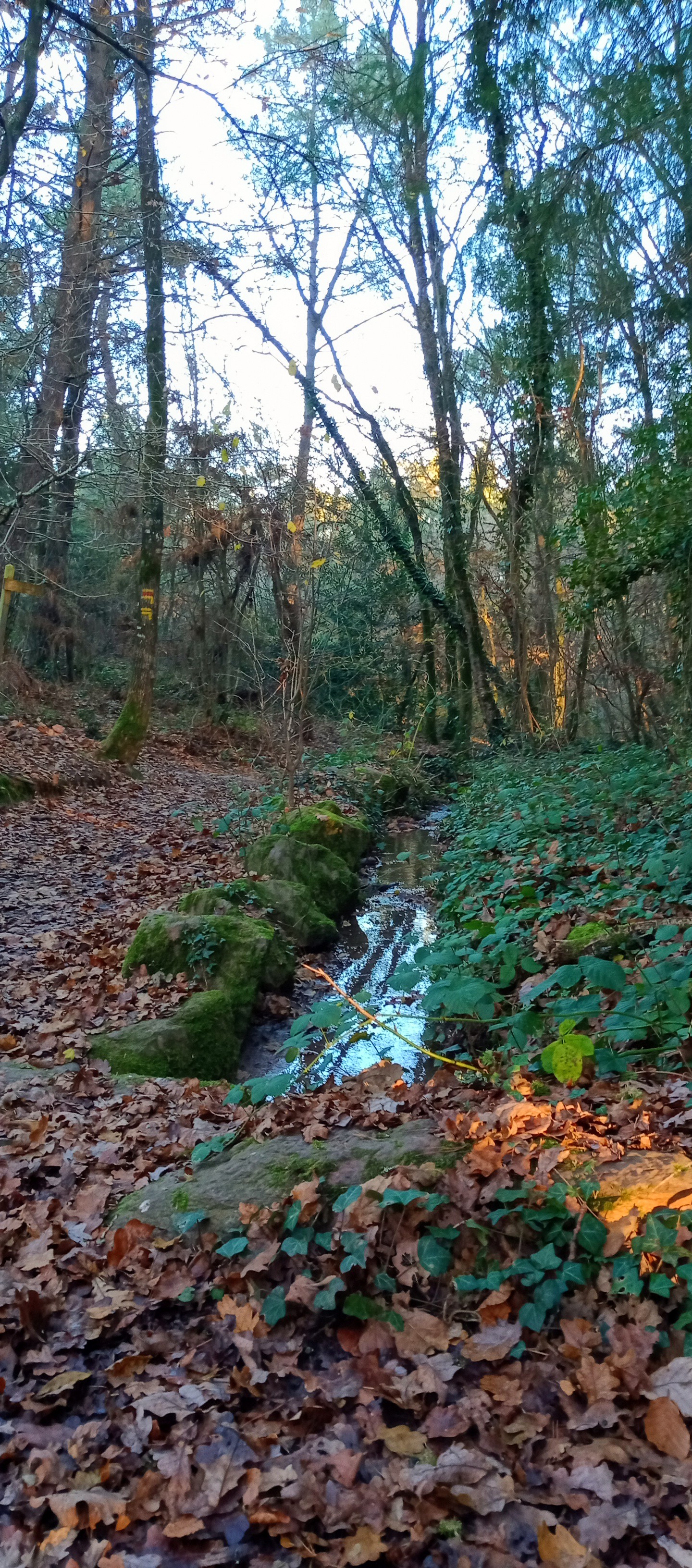 Photo n° 4 de l'avis de Thierry.e fait le 19/12/2021 à 15:02