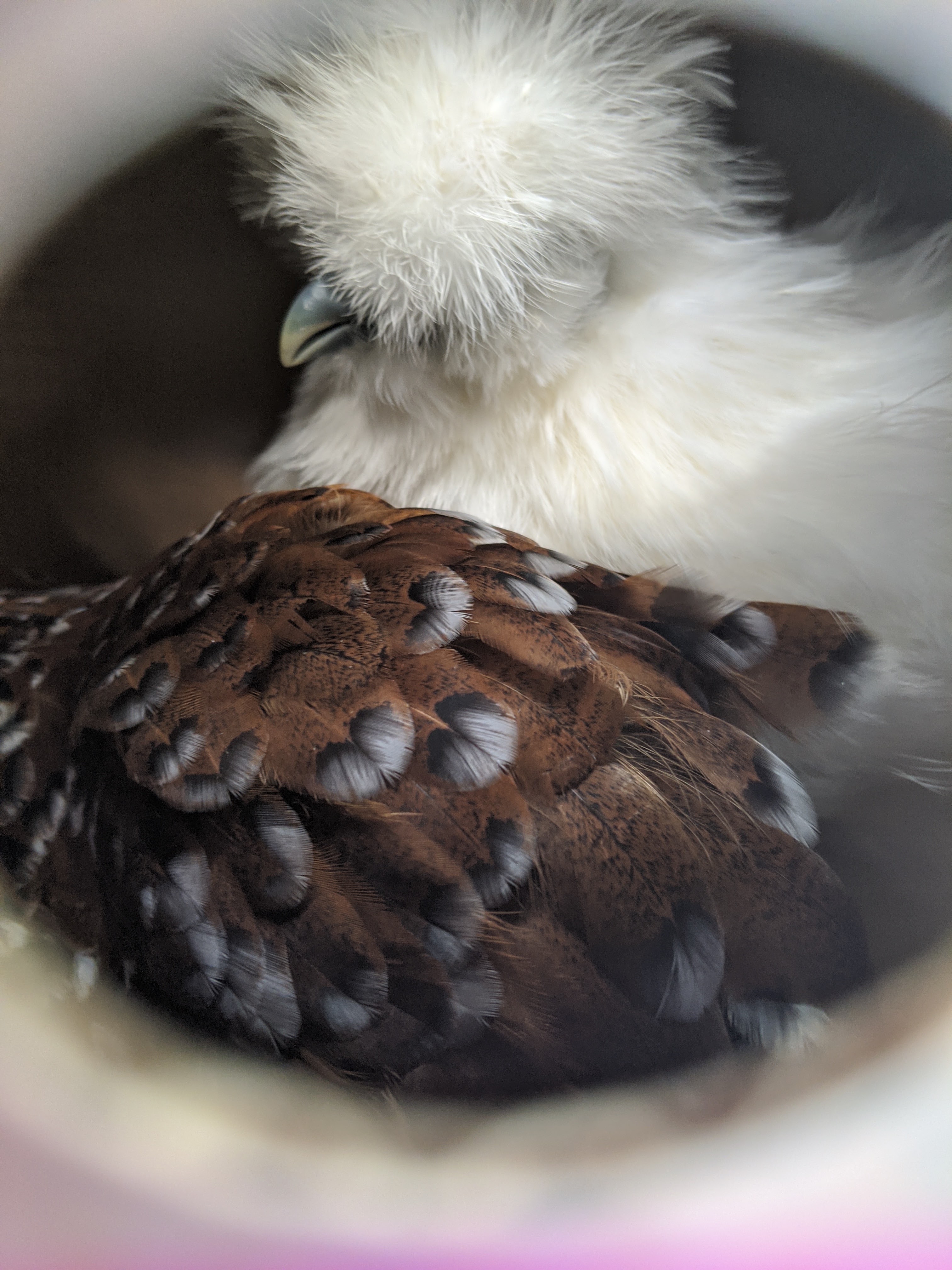 Photo n° 3 de l'avis de Alodie.r fait le 20/05/2020 à 17:32