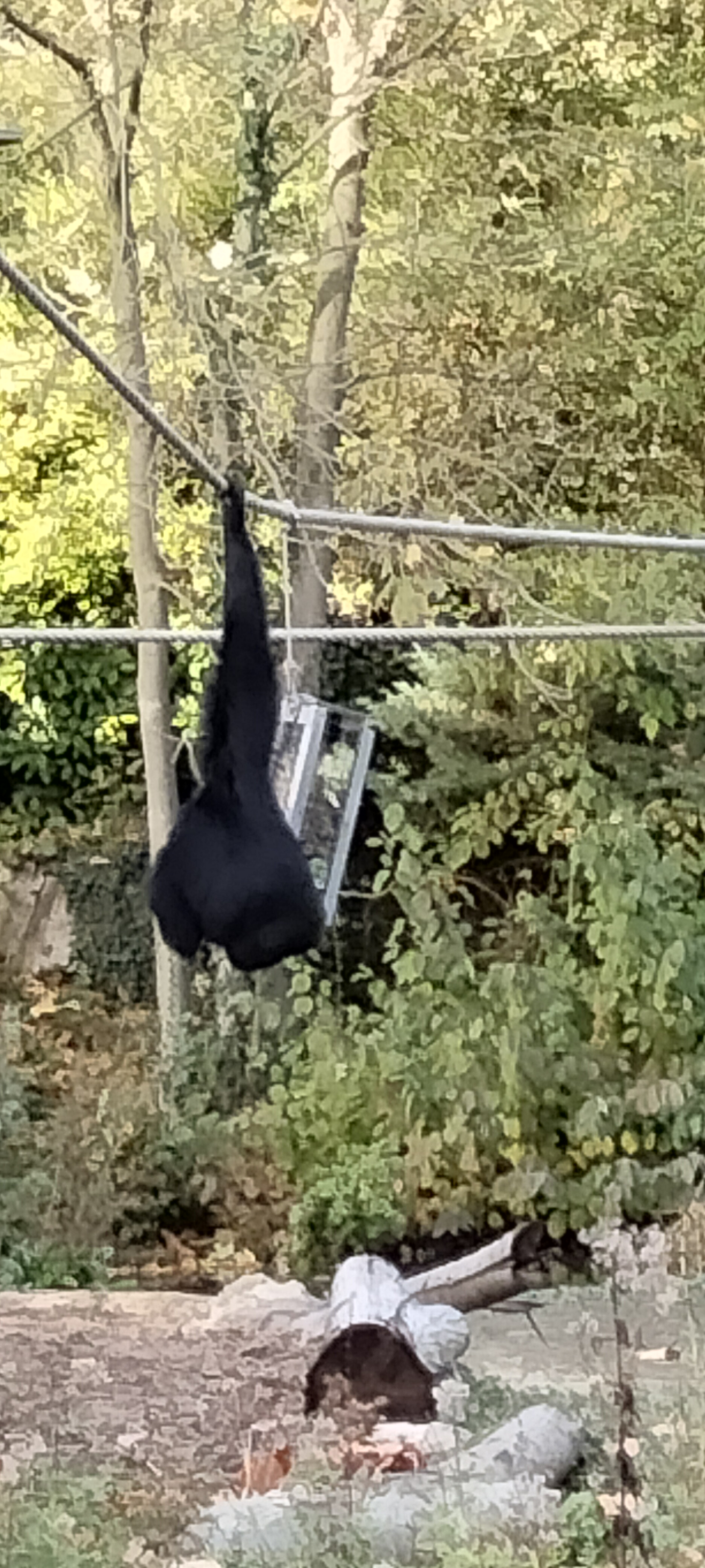 Photo n° 16 de l'avis de Sylvie.U fait le 07/11/2022 à 08:33